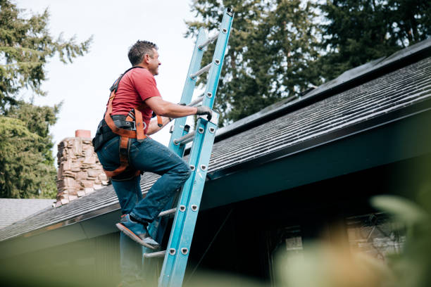 Best Skylight Installation and Repair  in Grove City, OH
